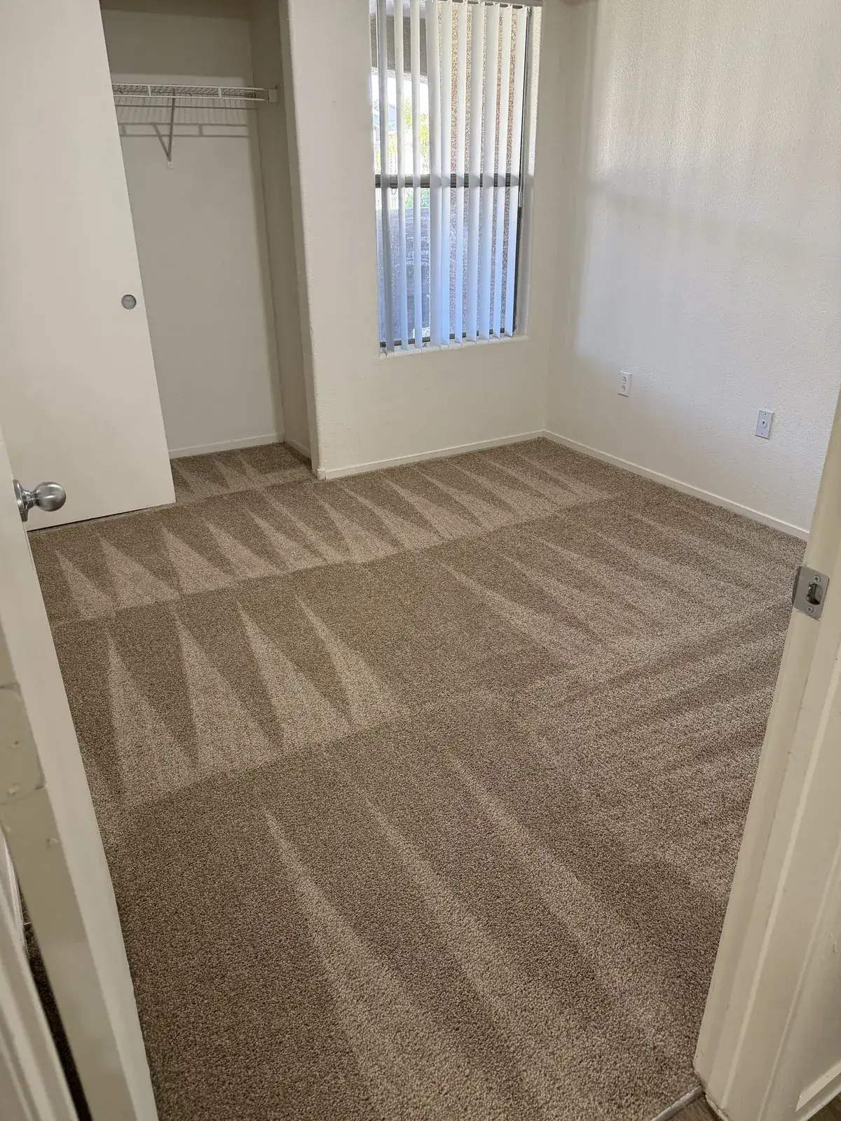 Apartment bedroom turnover cleaning — freshly cleaned carpet and bright windows